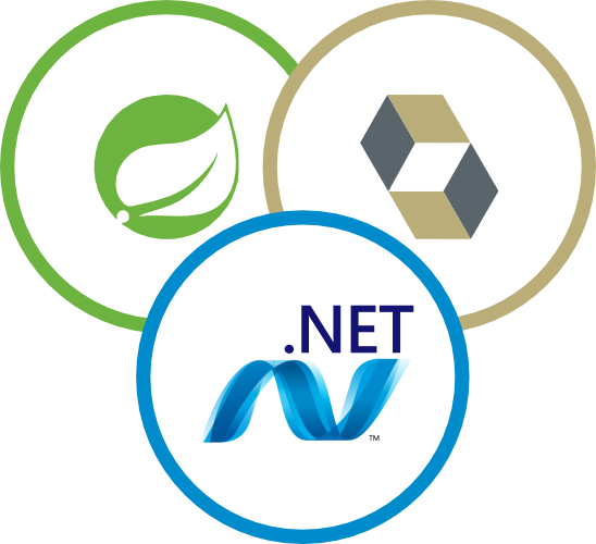 Spring Boot, Hibernate & .NET